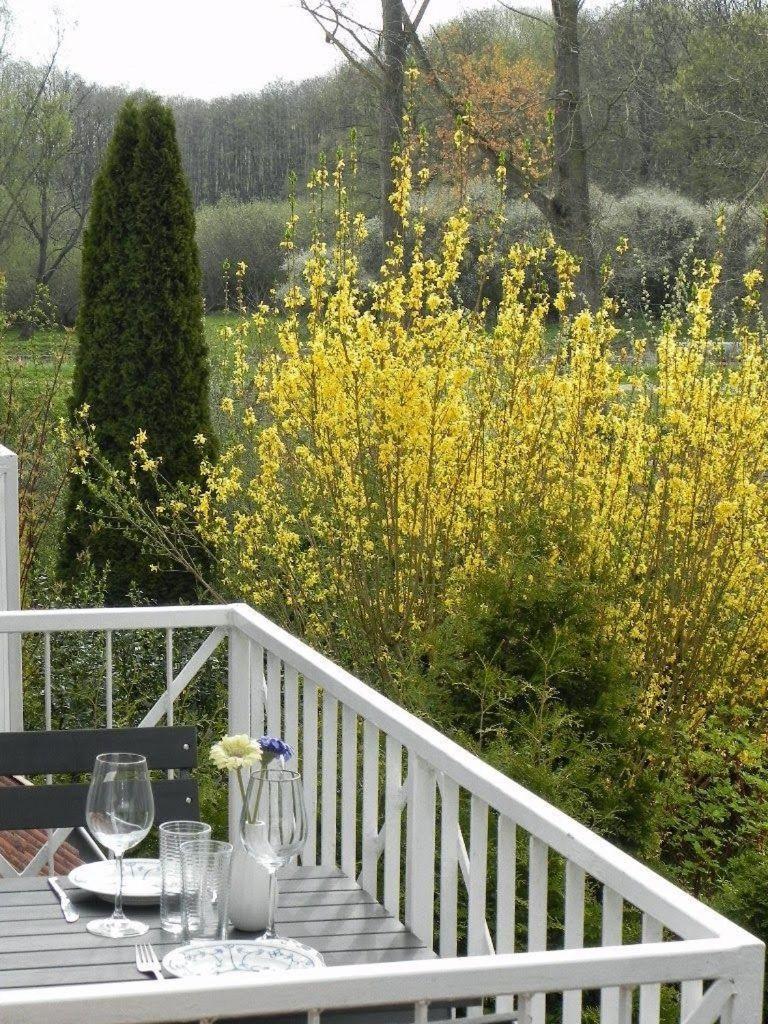 Ferienwohnung-Nils-Holgerson-Mit-Balkon-Zwischen-Strand-Wald-Wiese-Im-Suedosten-Der-Insel-Ruegen Gustow  外观 照片